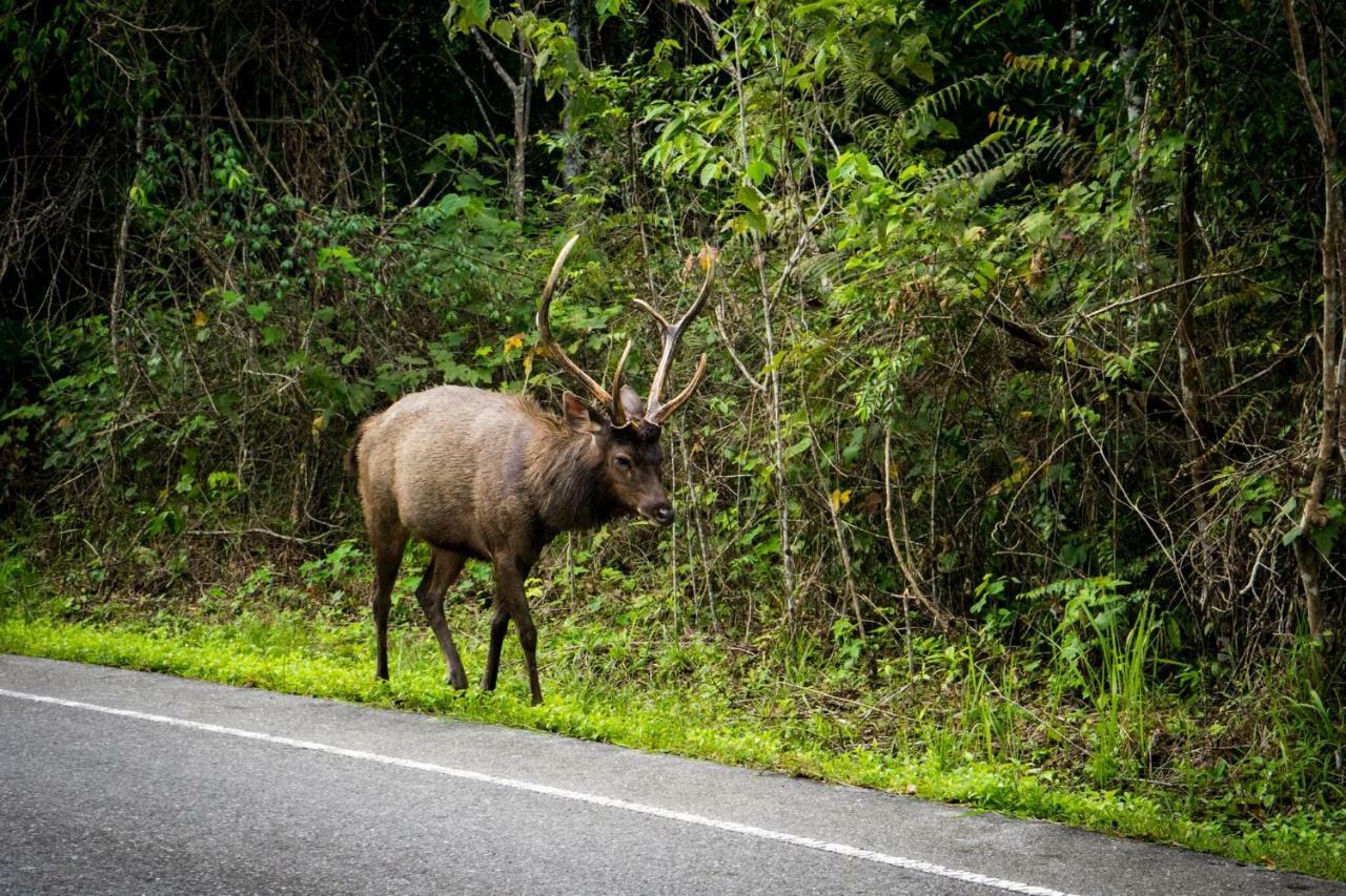Sierra View Resort Ban Khanong Phra Nua Zewnętrze zdjęcie
